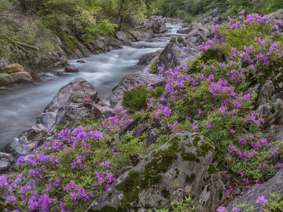 Yulian Waterfall