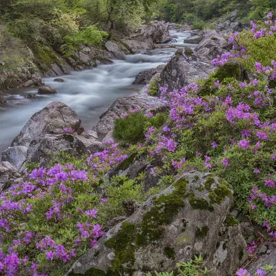 玉山の家族旅行ホテル