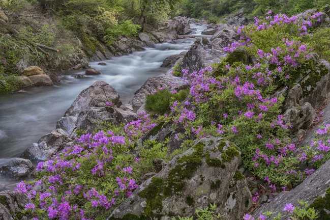 Hampton by Hilton Pingxiang