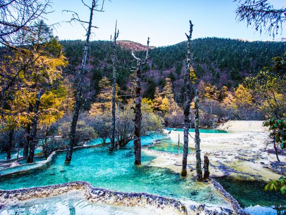 The Jade Pool