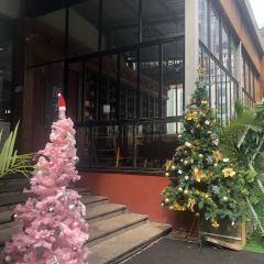 Circle Cafe User Photo