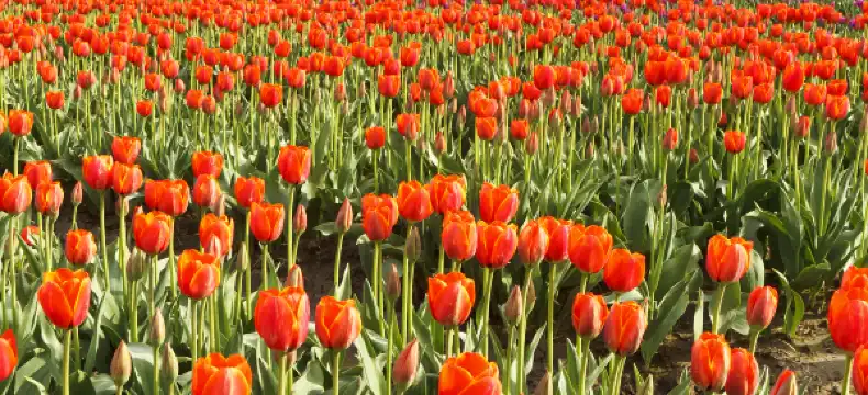 Hotels in Chilliwack