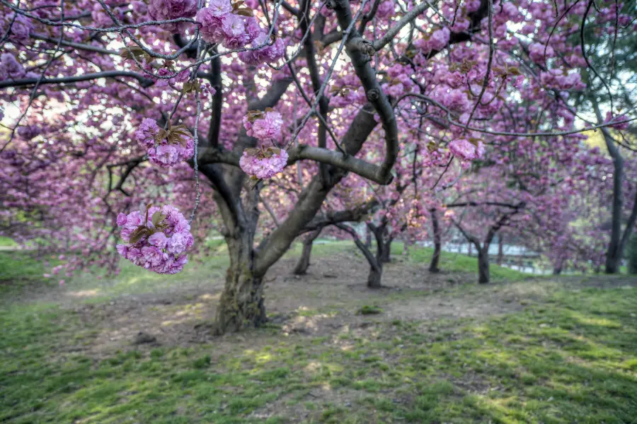 巴里公園