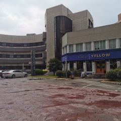 YELLOW咖啡張用戶圖片