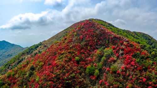 통톈 양초산