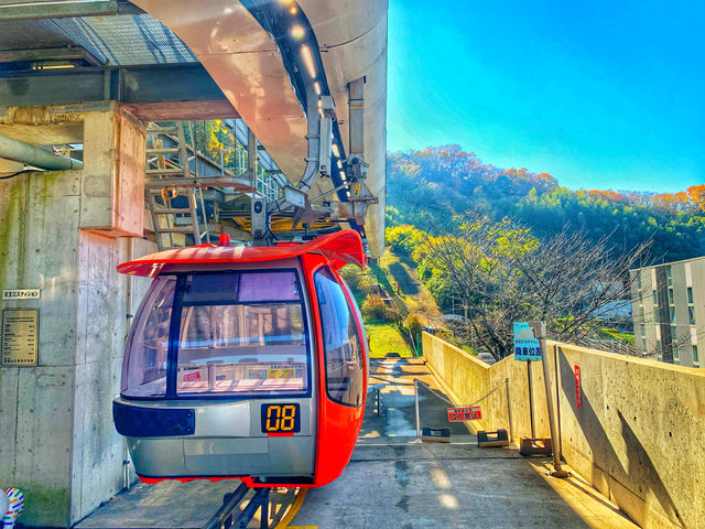 【不能錯過的東京樂園 - 讀賣樂園】 燈飾規模大到好誇張