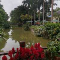 Nanning Hot Spring Oasis Day Trip