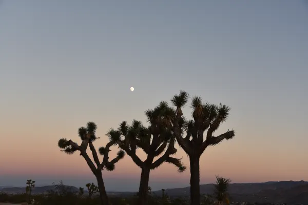 Flights from Las Vegas to Sacramento