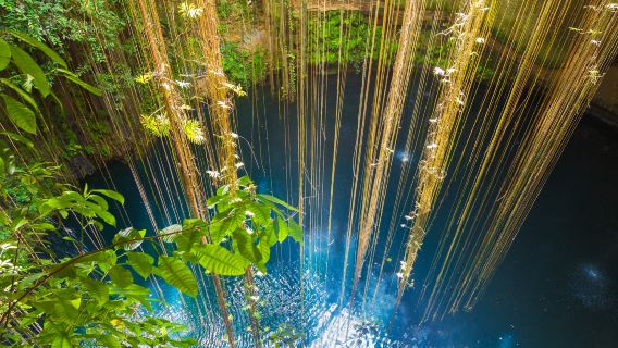 Explore Mayan Culture! | Chichen Itza + Cenote 1-Day Tour