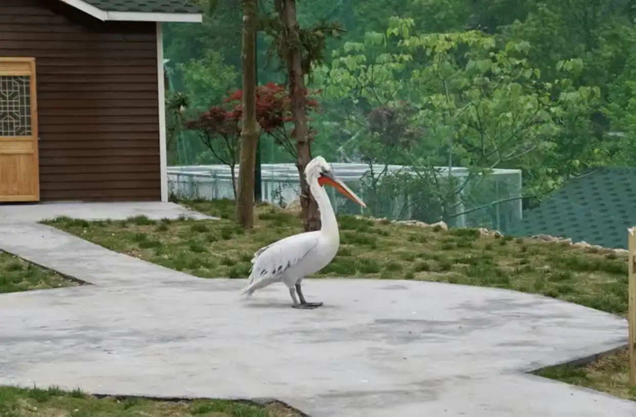 Hotels near Wenling Zoo