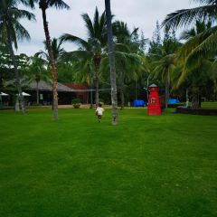 Intercontinental Sanya Haitang Bay Resort  Cove Restaurant User Photo