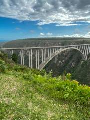 Bloukrans Bridge - World's Highest Bungy