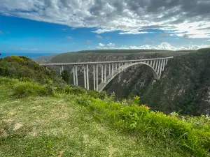 Bloukrans Bridge - World's Highest Bungy