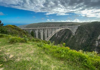 Bloukrans Bridge - World's Highest Bungy