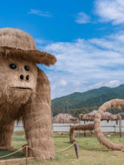 趣浪草垛樂園