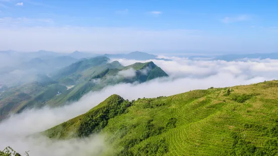 陽宝山