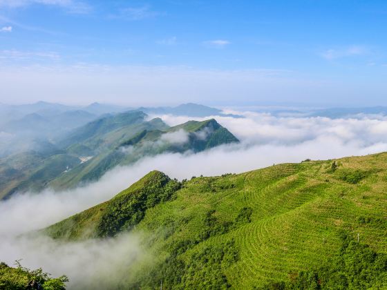 陽宝山