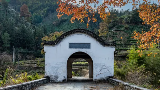 黃山三棵樹景區