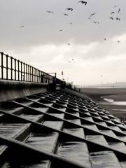 Crosby Beach