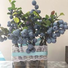 Express Pizza and Desi Grill User Photo