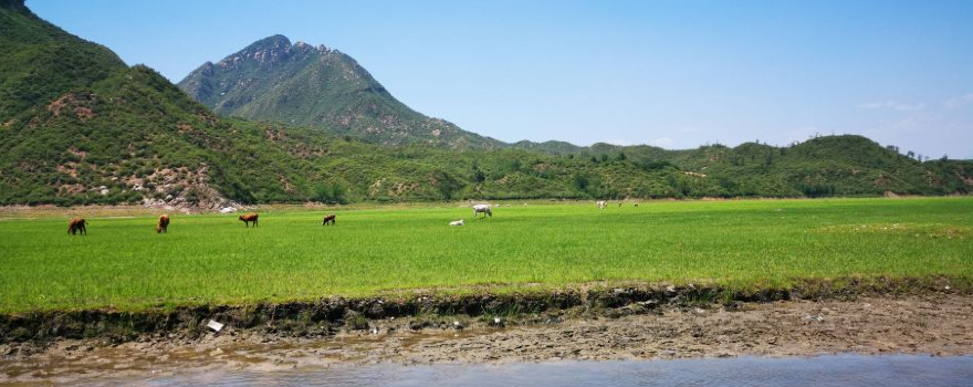 Sanyan Village
