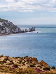 The Needles