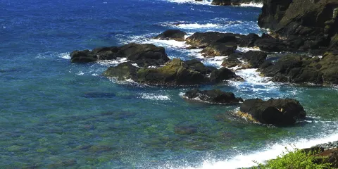 虎頭坡