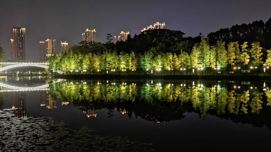 千灯湖的夜景非常漂亮，周边楼盘没有像许多城市那样给人密集型感