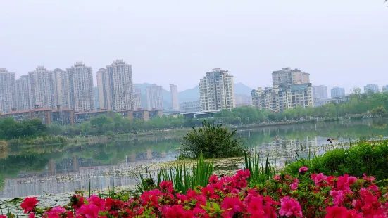 墊江牡丹湖濕地公園