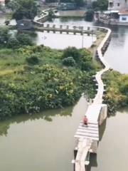水龍橋