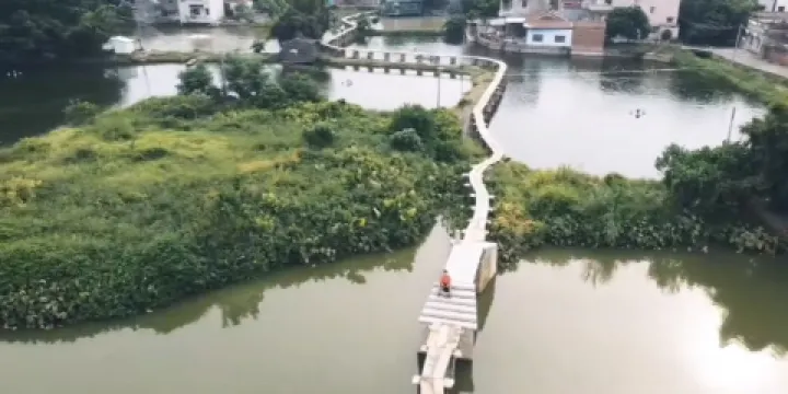 水龍橋
