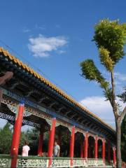 Puzhao Temple