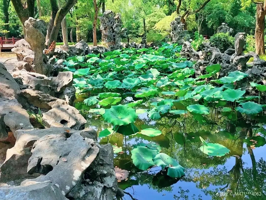 鄰近嘯石的酒店