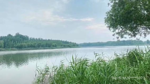 Xiaoxian Huanghe Gudao Wetland Park