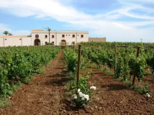Agriturismo Baglio Donna Franca wine resort