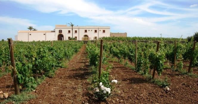 Agriturismo Baglio Donna Franca wine resort