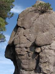 Horse Head Stone