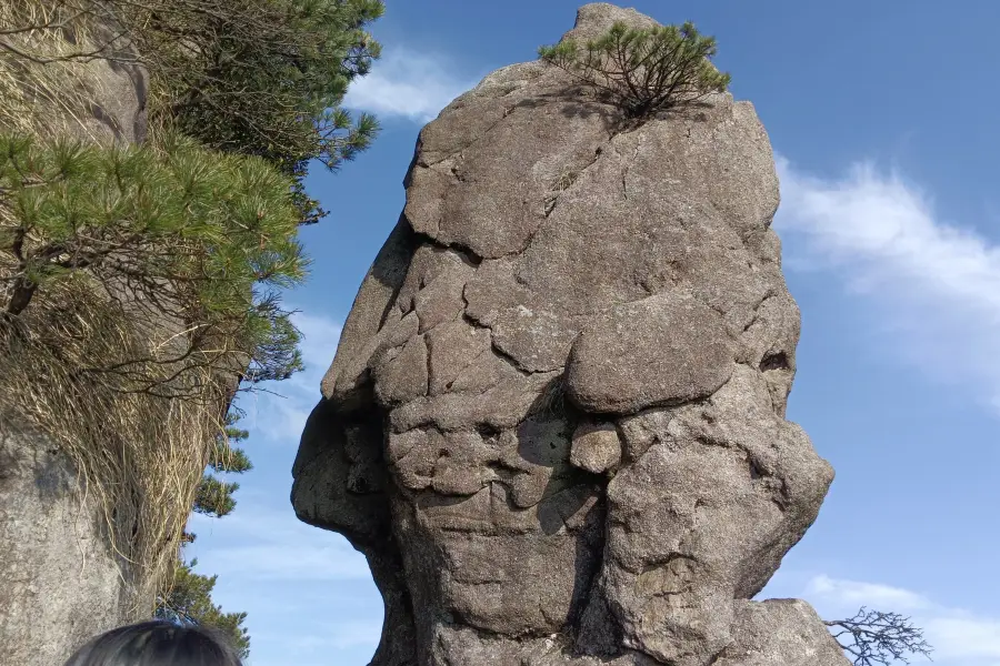 Horse Head Stone