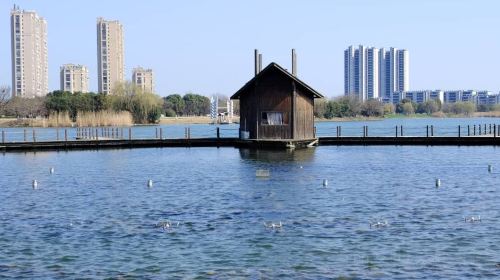 Qixinghu Ecological Garden