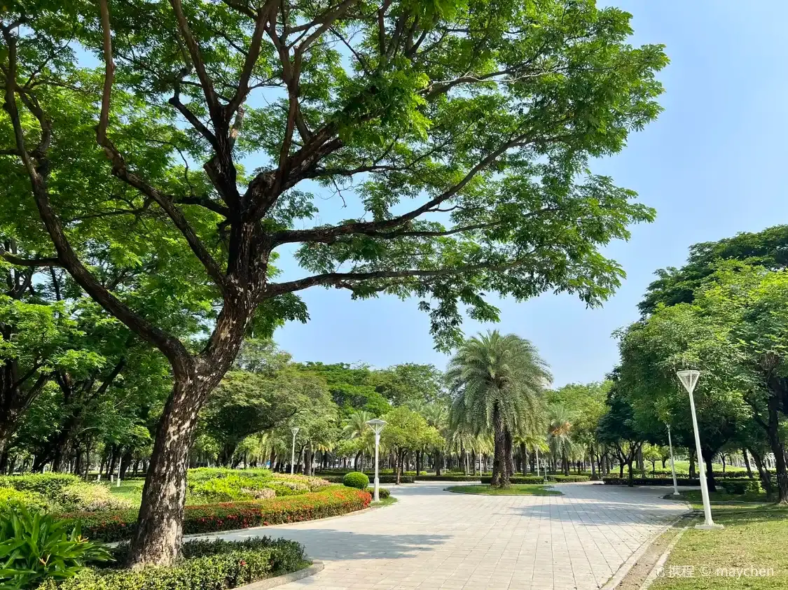 Hotels near Aozidi Forest Park