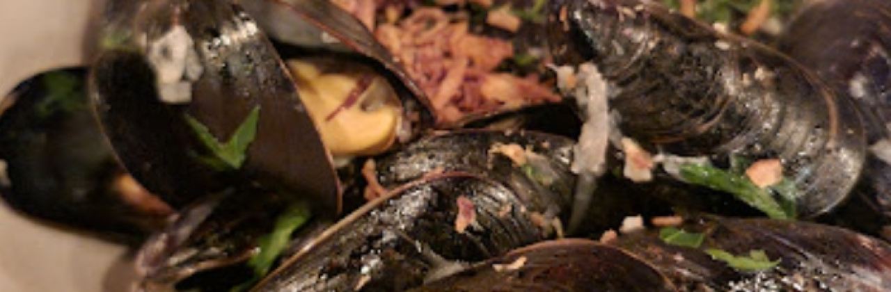 The Whalesbone Elgin Street