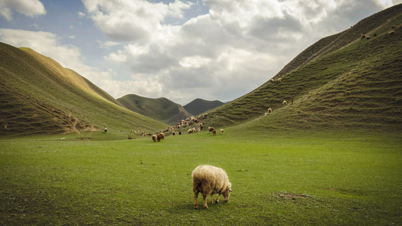 Shihezinan Mountain Sceneic Area