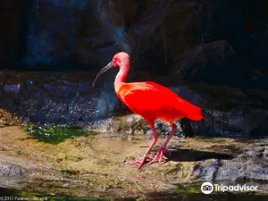 Great Plains Zoo