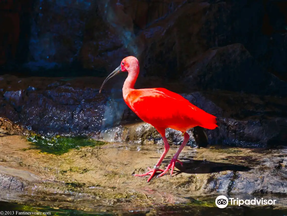 Hotels near Great Plains Zoo