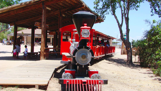 Wildlife World Zoo, Aquarium & Safari Park