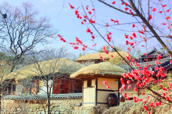 Yangdong Folk Village