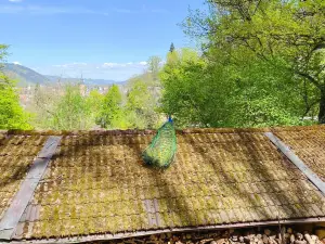 Schwarzwaldzoo Waldkirch