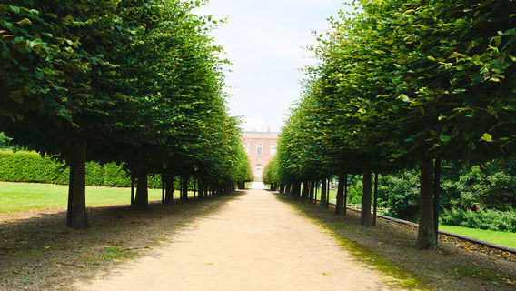 Темпл Ньюсам