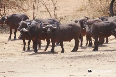 Lower Zambezi National Park
