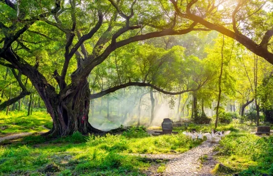 楊家溪竹筏漂流 + 榕楓公園門票團體（5人）